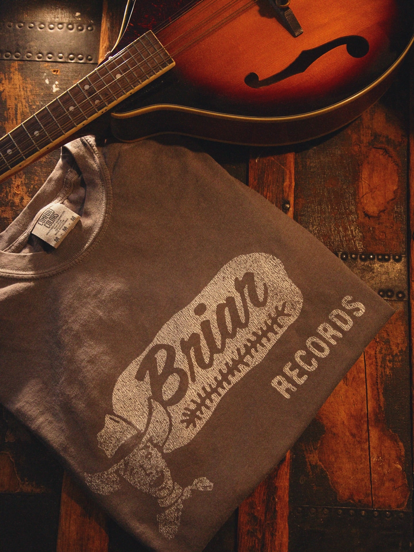 Briar Records Vintage Distressed garment-dyed heavyweight t-shirt