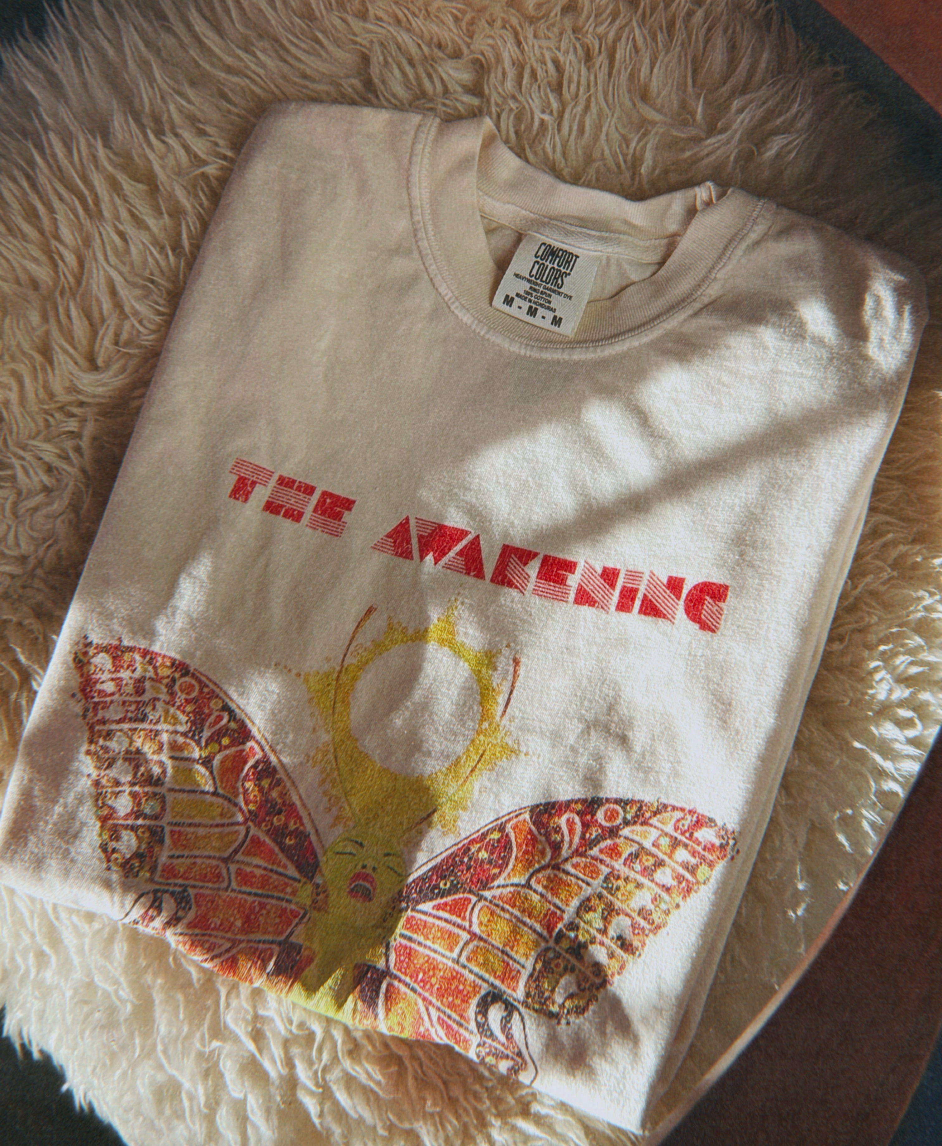 The Awakening - Brand New Feeling garment-dyed heavyweight t-shirt